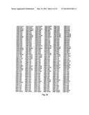 EPHA2 T-CELL EPITOPE AGONISTS AND USES THEREFORE diagram and image