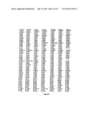 EPHA2 T-CELL EPITOPE AGONISTS AND USES THEREFORE diagram and image