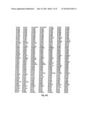 EPHA2 T-CELL EPITOPE AGONISTS AND USES THEREFORE diagram and image