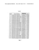 EPHA2 T-CELL EPITOPE AGONISTS AND USES THEREFORE diagram and image