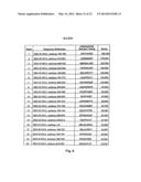 EPHA2 T-CELL EPITOPE AGONISTS AND USES THEREFORE diagram and image