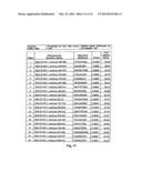 EPHA2 T-CELL EPITOPE AGONISTS AND USES THEREFORE diagram and image