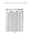 EPHA2 T-CELL EPITOPE AGONISTS AND USES THEREFORE diagram and image