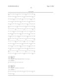 EPHA2 T-CELL EPITOPE AGONISTS AND USES THEREFORE diagram and image