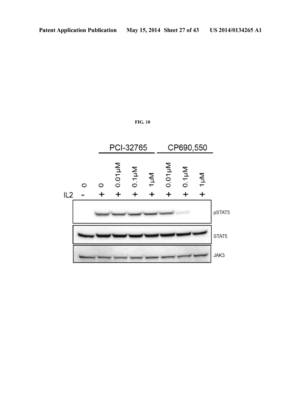 TEC FAMILY KINASE INHIBITOR ADJUVANT THERAPY - diagram, schematic, and image 28