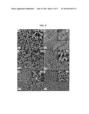 SUSTAINABLE HYBRID ORGANIC AEROGELS AND METHODS AND USES THEREOF diagram and image