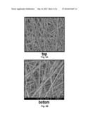 SOY PROTEIN AND CARBOHYDRATE CONTAINING BINDER COMPOSITIONS diagram and image