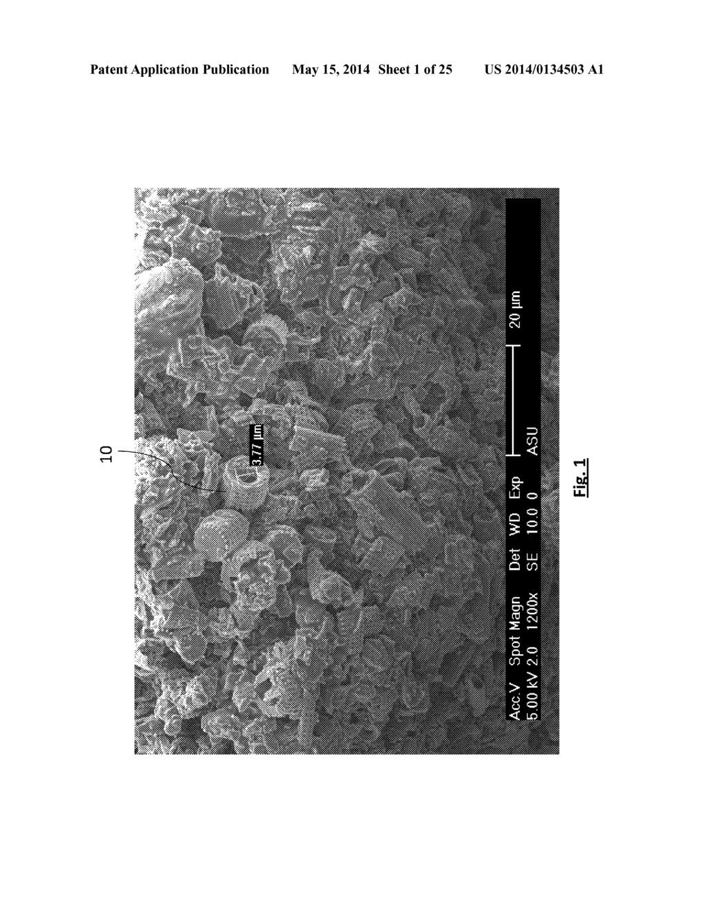 DIATOMACEOUS ENERGY STORAGE DEVICES - diagram, schematic, and image 02