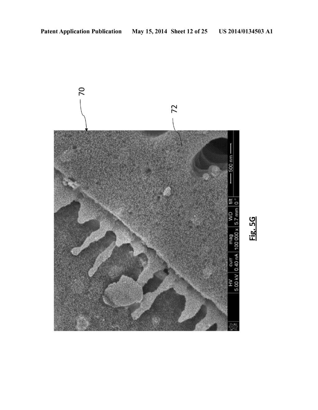 DIATOMACEOUS ENERGY STORAGE DEVICES - diagram, schematic, and image 13