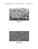 MICROPOROUS PVDF FILMS diagram and image