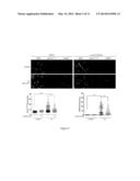 Method for Measuring ATR Inhibition mediated increases in DNA damage diagram and image