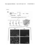 USE OF PROTEIN NANOPARTICLE BASED HYDROGEL diagram and image