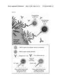 USE OF PROTEIN NANOPARTICLE BASED HYDROGEL diagram and image