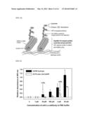 USE OF PROTEIN NANOPARTICLE BASED HYDROGEL diagram and image