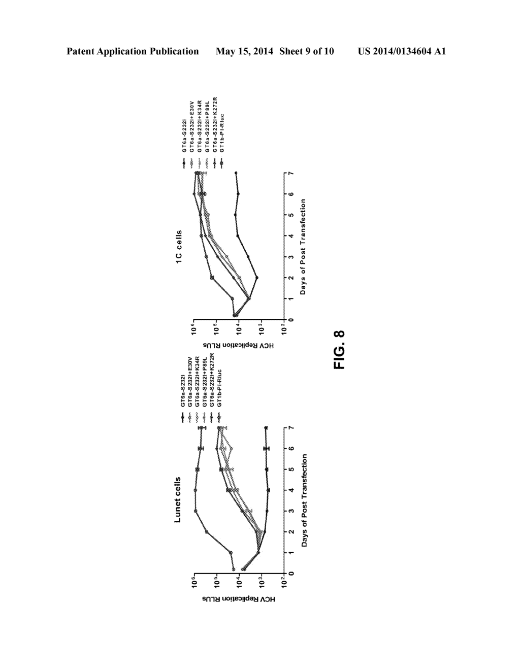 HCV GENOTYPE 6 REPLICONS - diagram, schematic, and image 10