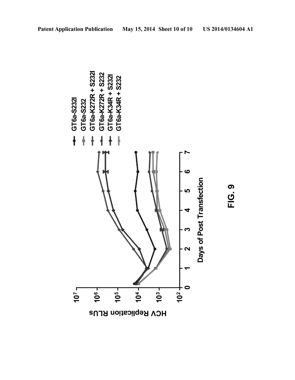 HCV GENOTYPE 6 REPLICONS - diagram, schematic, and image 11