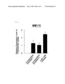 COMPOSITION FOR CONTROLLING CHROMOGENESIS INCLUDING MICRORNA diagram and image