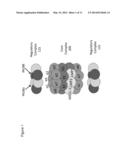 METHODS AND KITS FOR DIAGNOSING SJOGREN S SYNDROME diagram and image