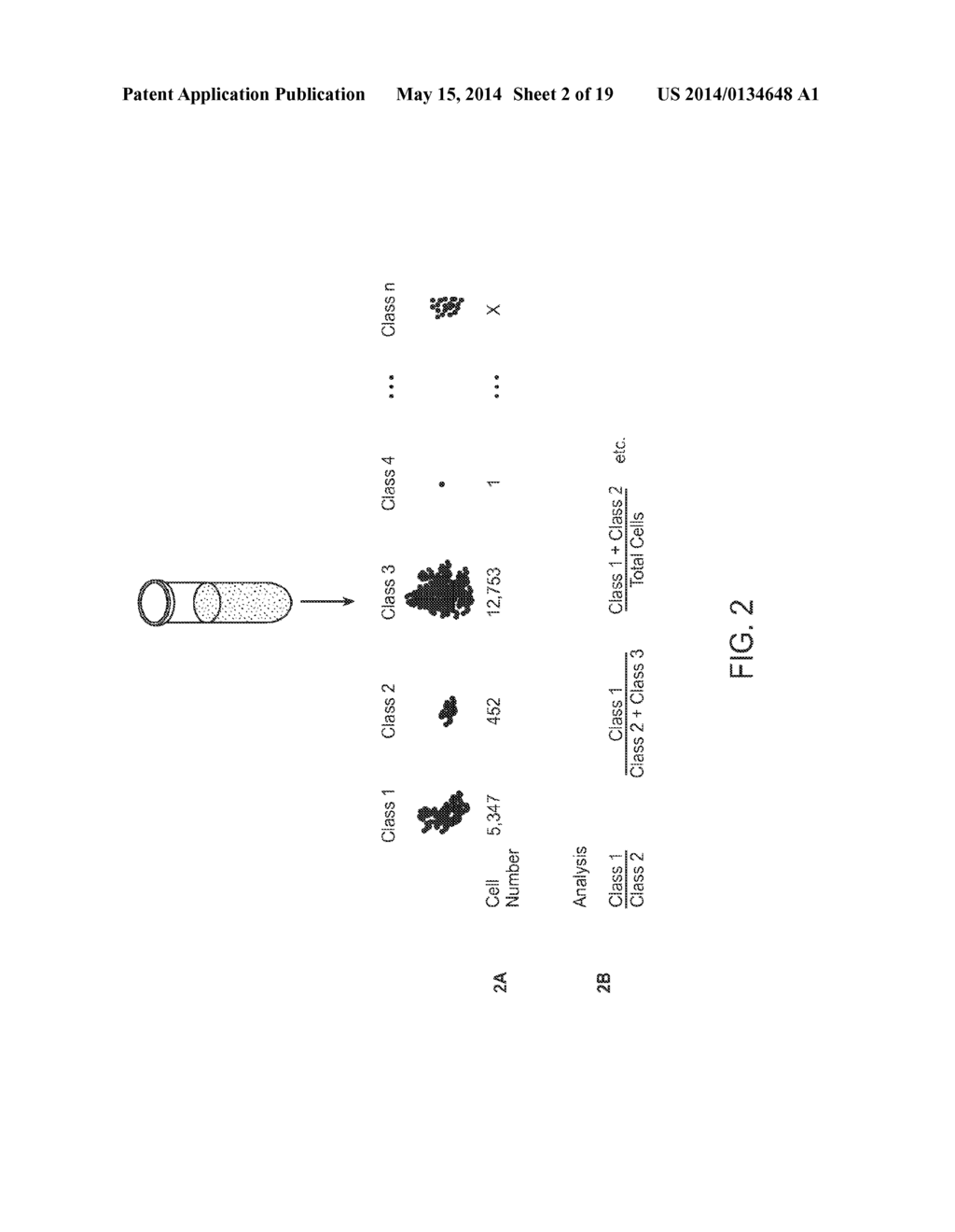 METHODS OF DETERMINING THE HEALTH STATUS OF AN INDIVIDUAL - diagram, schematic, and image 03