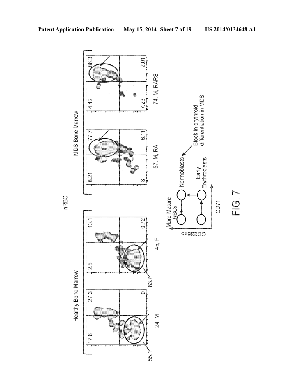 METHODS OF DETERMINING THE HEALTH STATUS OF AN INDIVIDUAL - diagram, schematic, and image 08