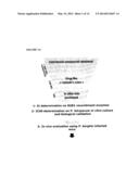 SCREENING METHODS FOR IDENTIFYING PLASMODIUM PROTEASES INHIBITORS diagram and image