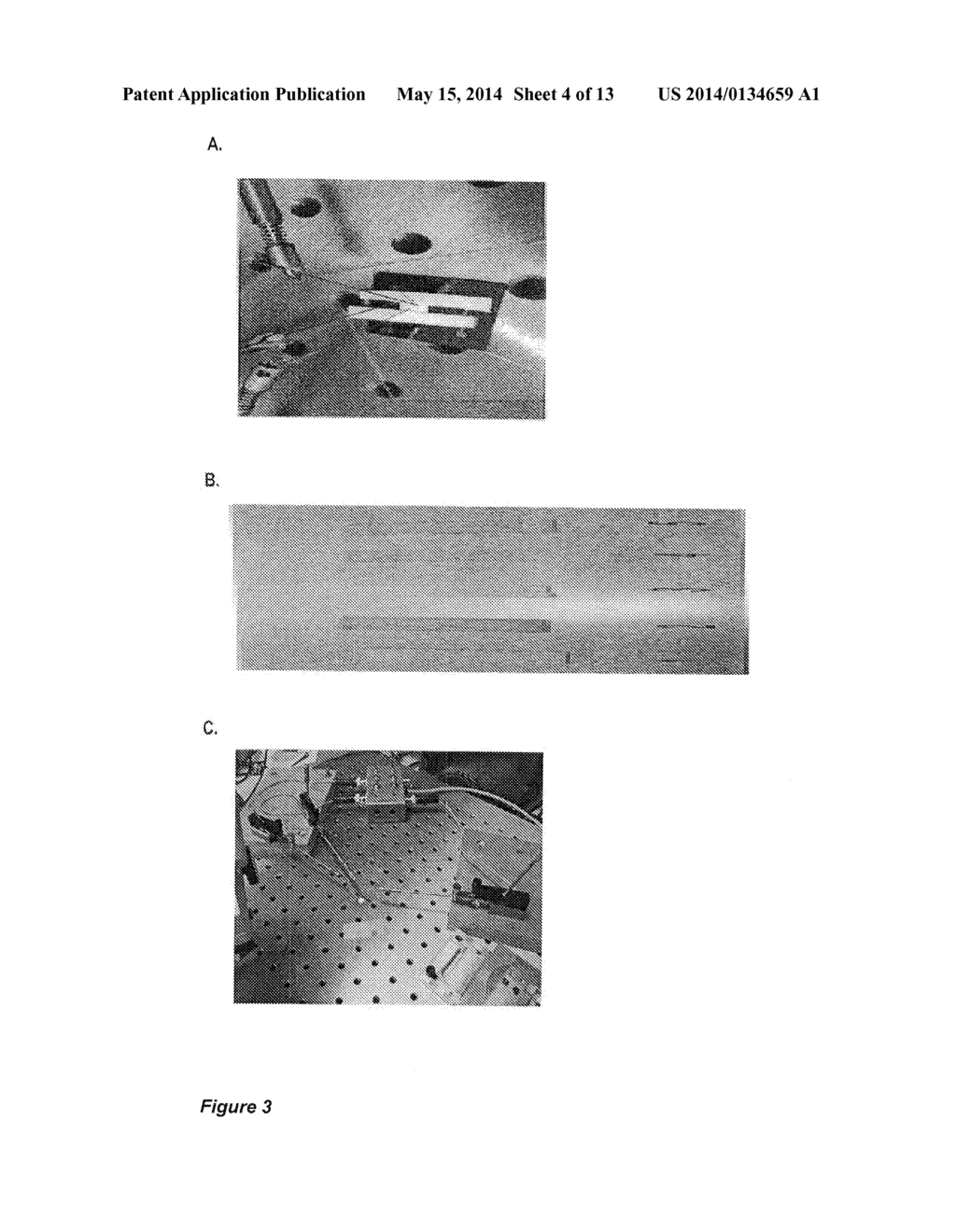 SYSTEM AND METHOD FOR DETECTING AND MONITORING PROTEOLYSIS OF PROTEIN     MATRICES - diagram, schematic, and image 05