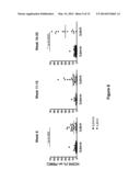 GENETICALLY MODIFIED NON-HUMAN ANIMALS AND METHODS OF USE THEREOF diagram and image