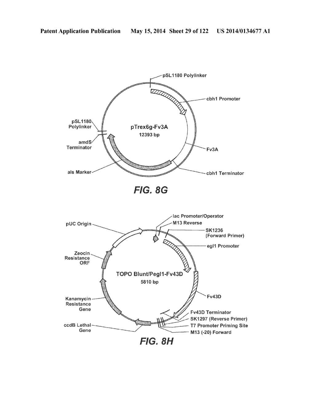 METHOD FOR REDUCING VISCOSITY IN SACCHARIFICATION PROCESS - diagram, schematic, and image 30