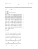 PROCESSES AND RECOMBINANT MICROORGANISMS FOR THE PRODUCTION OF CADAVERINE diagram and image