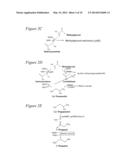 MICROBES AND METHODS FOR PRODUCING 1-PROPANOL diagram and image
