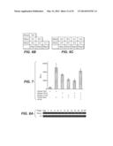 Compositions for Diagnosis and Therapy of Diseases Associated with     Aberrant Expression of Futrins (R-Spondins) and/or Wnt diagram and image