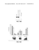 Compositions for Diagnosis and Therapy of Diseases Associated with     Aberrant Expression of Futrins (R-Spondins) and/or Wnt diagram and image