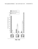 Compositions for Diagnosis and Therapy of Diseases Associated with     Aberrant Expression of Futrins (R-Spondins) and/or Wnt diagram and image