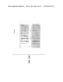 Compositions for Diagnosis and Therapy of Diseases Associated with     Aberrant Expression of Futrins (R-Spondins) and/or Wnt diagram and image