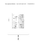 Compositions for Diagnosis and Therapy of Diseases Associated with     Aberrant Expression of Futrins (R-Spondins) and/or Wnt diagram and image