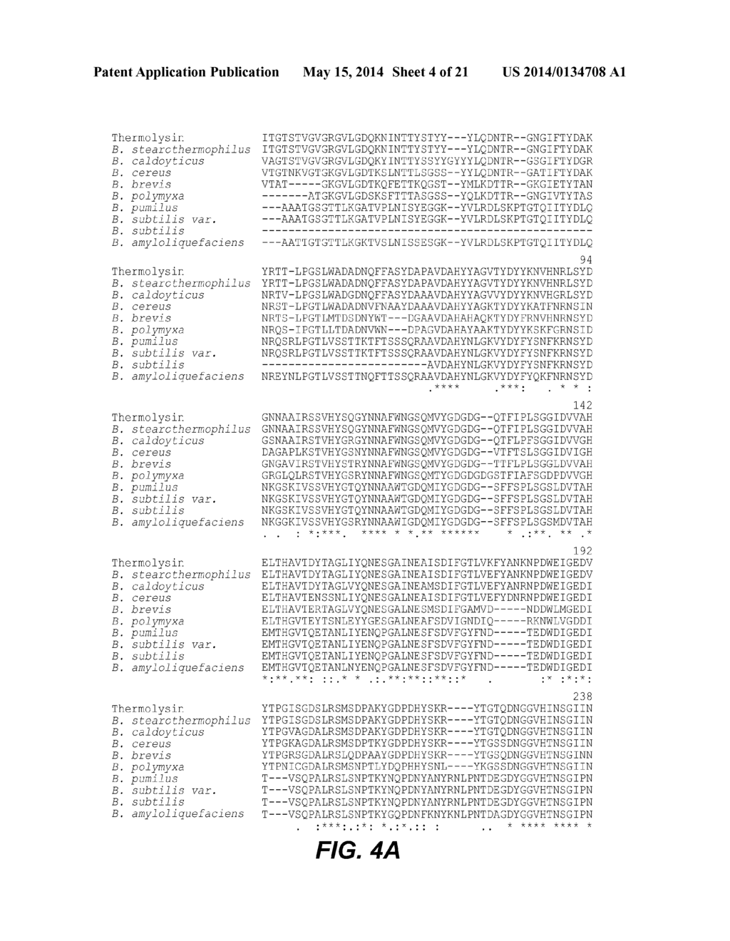 USE AND PRODUCTION OF STORAGE-STABLE NEUTRAL METALLOPROTEASE - diagram, schematic, and image 05