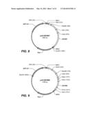 USE AND PRODUCTION OF STORAGE-STABLE NEUTRAL METALLOPROTEASE diagram and image