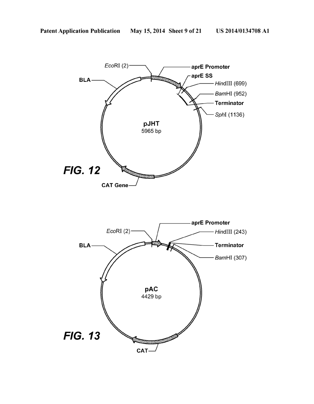 USE AND PRODUCTION OF STORAGE-STABLE NEUTRAL METALLOPROTEASE - diagram, schematic, and image 10