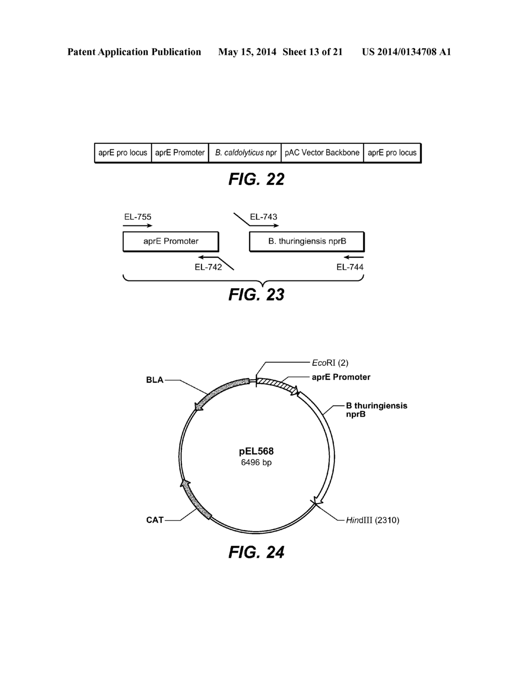 USE AND PRODUCTION OF STORAGE-STABLE NEUTRAL METALLOPROTEASE - diagram, schematic, and image 14