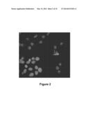 Method for the Cytological Analysis of Cervical Cells diagram and image