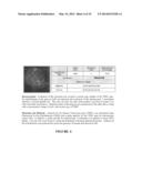 Method for the Cytological Analysis of Cervical Cells diagram and image