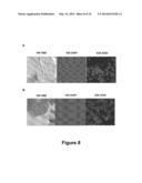 Method for the Cytological Analysis of Cervical Cells diagram and image