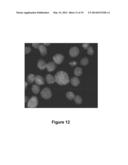 Method for the Cytological Analysis of Cervical Cells diagram and image