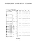 Method for the Cytological Analysis of Cervical Cells diagram and image