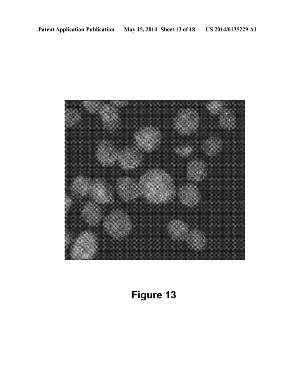 Method and System for Automated Image Analysis in Cancer Cells - diagram, schematic, and image 14