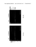 TREATMENT OF EXTRACELLULAR MATRIX TO REDUCE INFLAMMATION diagram and image