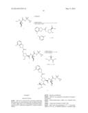 TREATMENT OF HEPATITIS C VIRUS diagram and image