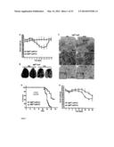 METHODS OF TREATING AUTOPHAGY-ASSOCIATED DISORDERS AND RELATED     PHARMACEUTICAL COMPOSITIONS, DIAGNOSTICS, SCREENING TECHNIQUES AND KITS diagram and image