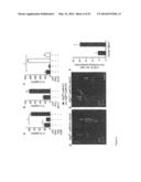 METHODS OF TREATING AUTOPHAGY-ASSOCIATED DISORDERS AND RELATED     PHARMACEUTICAL COMPOSITIONS, DIAGNOSTICS, SCREENING TECHNIQUES AND KITS diagram and image