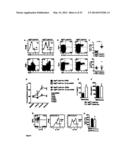 METHODS OF TREATING AUTOPHAGY-ASSOCIATED DISORDERS AND RELATED     PHARMACEUTICAL COMPOSITIONS, DIAGNOSTICS, SCREENING TECHNIQUES AND KITS diagram and image